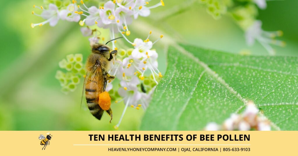 ten health benefits of bee pollen