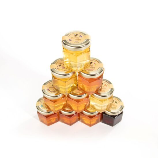 Honey Tasting In a Box - Image 2