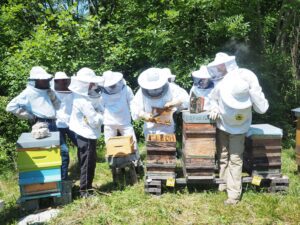 beekeeping training