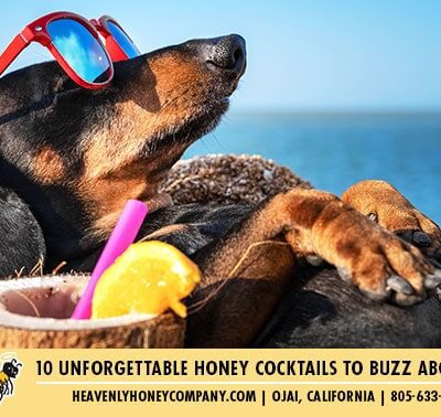 10 Unforgettable Honey Cocktails To Buzz About
