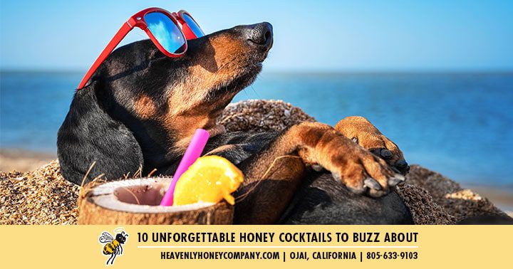 10 Unforgettable Honey Cocktails To Buzz About