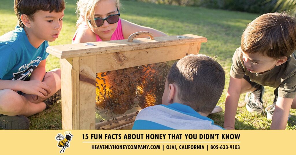 fun facts about honey