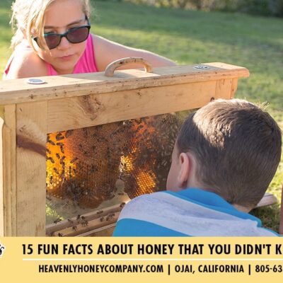15 Fun Facts About Honey That You Didn’t Know