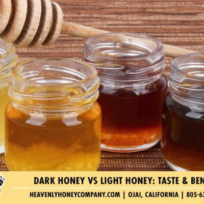 Dark Honey vs Light Honey: Taste & Benefits
