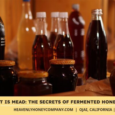What is Mead: The Secrets of Fermented Honey Drinks