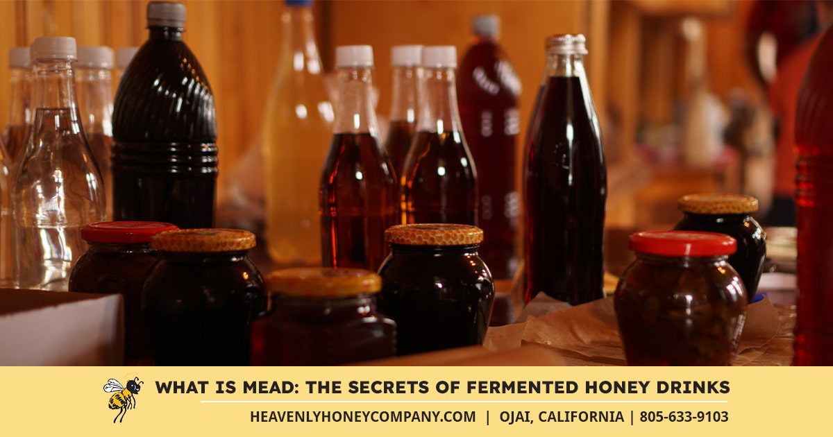 What is Mead: The Secrets of Fermented Honey Drinks