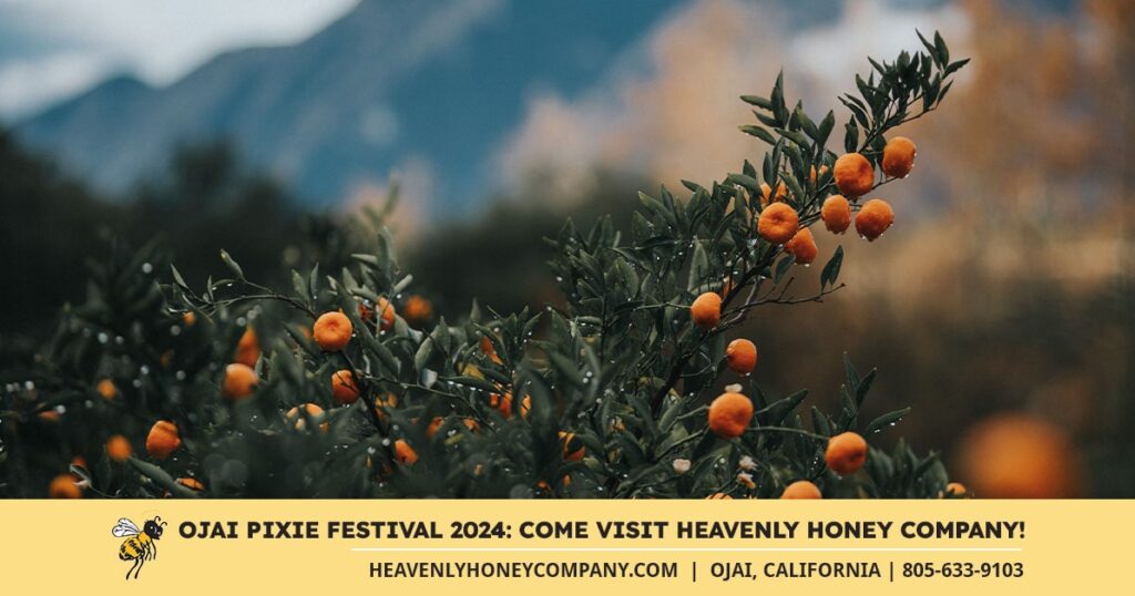 Ojai Pixie Festival 2024: Visit The Heavenly Honey Company!