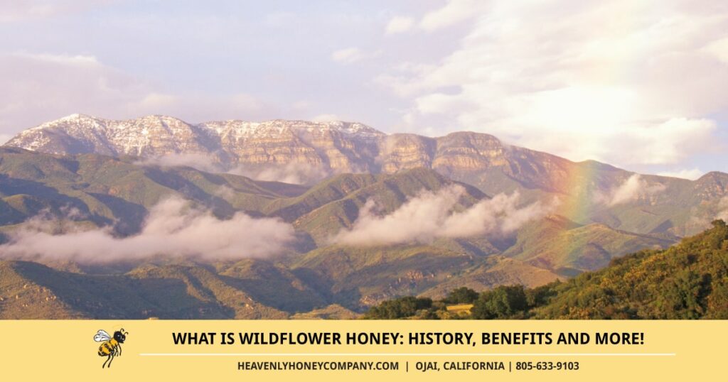 What is Wildflower Honey: History, Benefits and more!