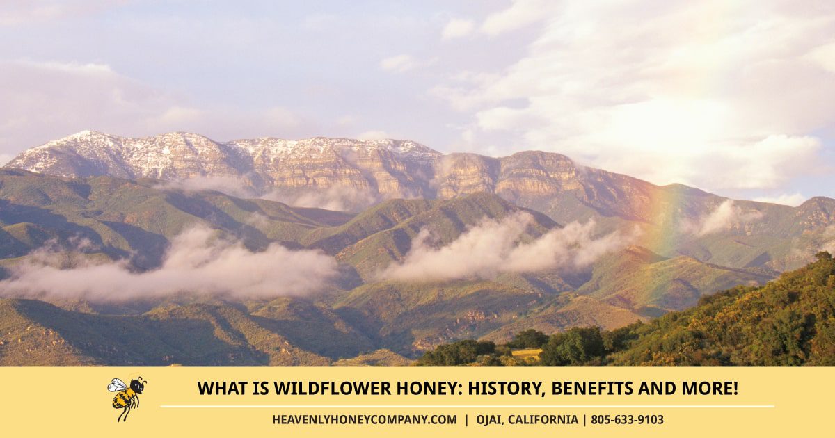 what is wildflower honey