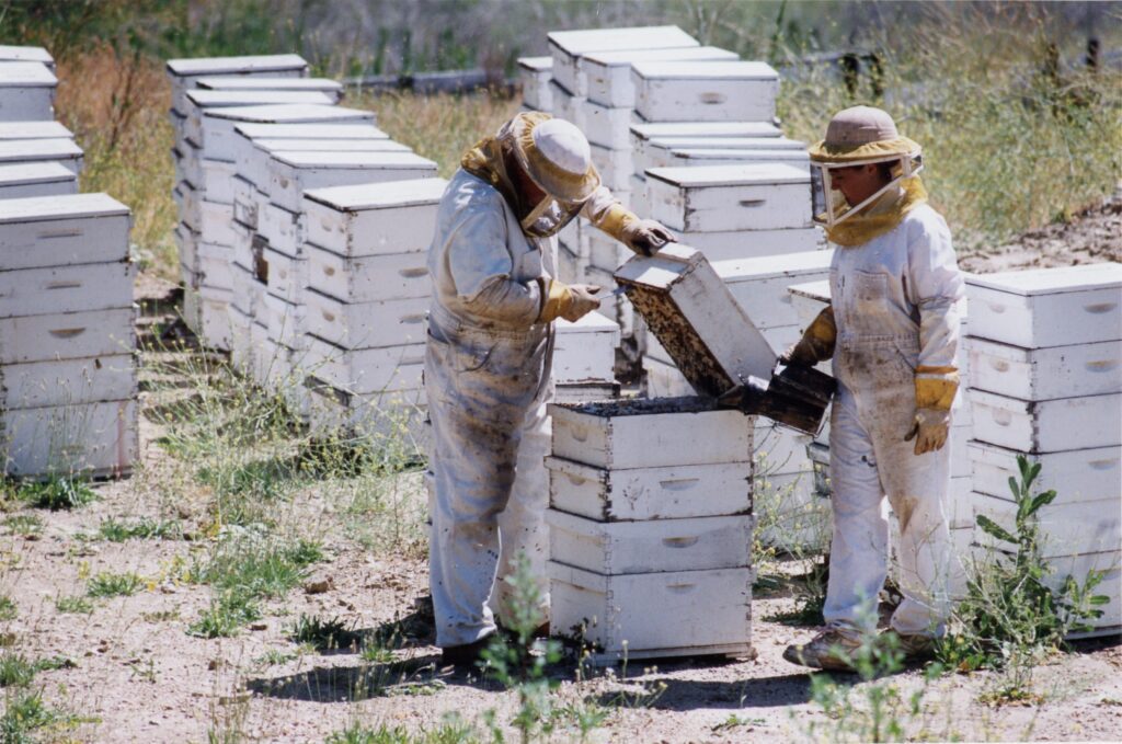 heavenly-honey-company-of-ojai-beekeeping