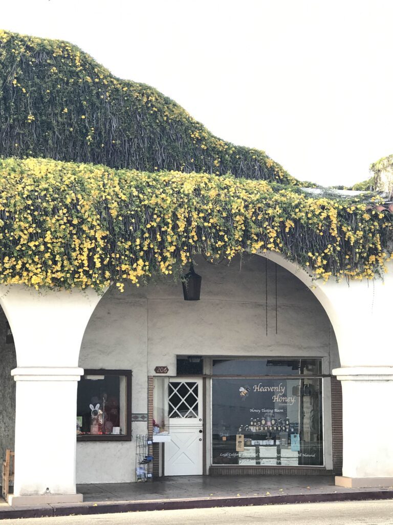 visit-heavenly-honey-company-of-ojai