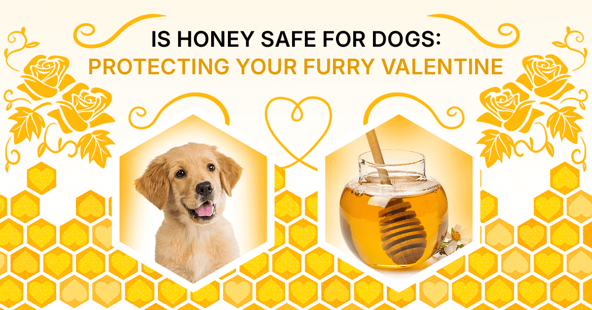 is honey safe for dogs to eat