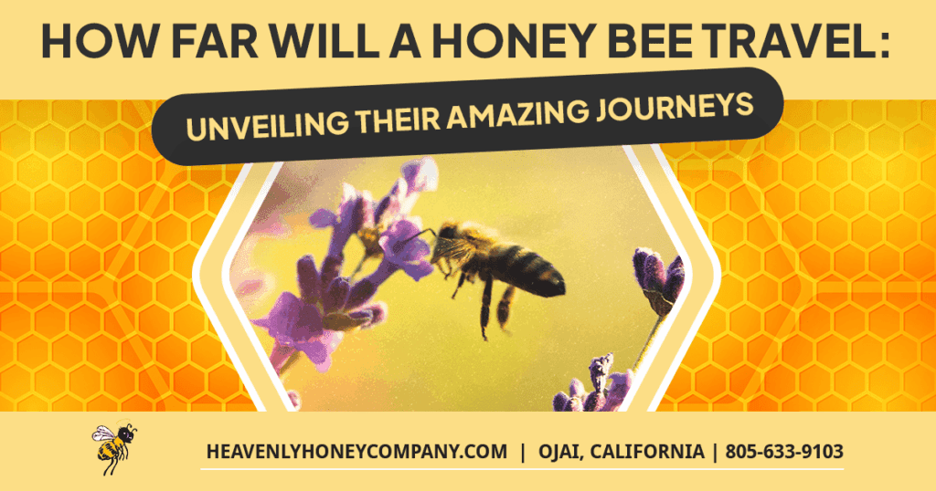 how far will a honeybee travel