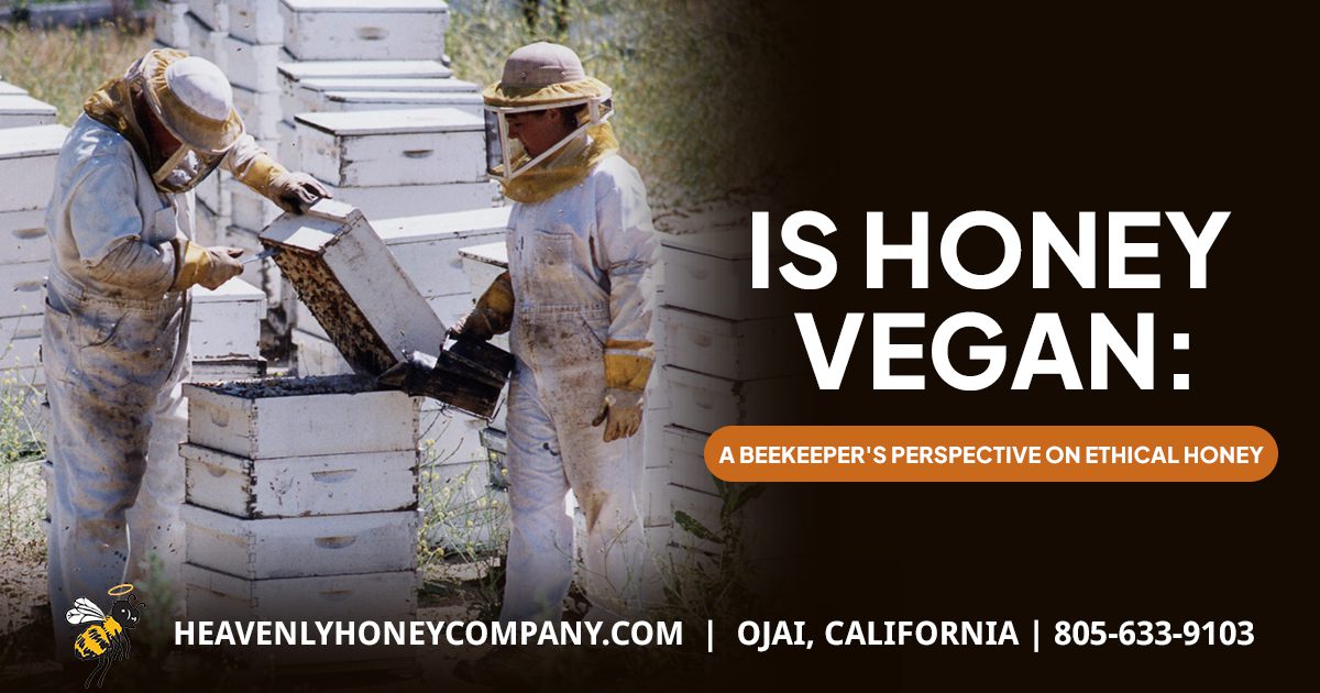 is honey vegan